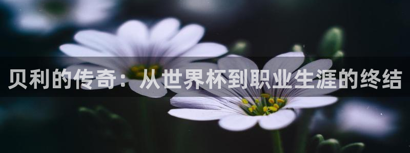 世界杯比赛直播:贝利的传奇:从世界杯到职业生涯的终结