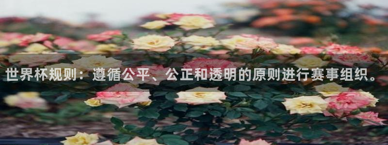 世界杯球赛:世界杯规则:遵循公平、公正和透明的原则进行赛事组织。
