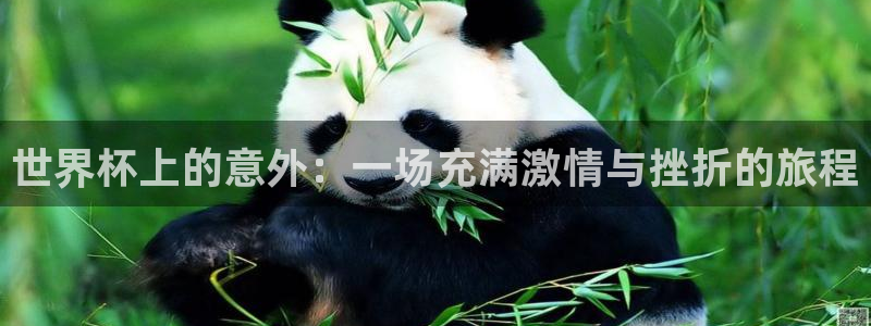 世界杯系列赛:世界杯上的意外:一场充满激情与挫折的旅程
