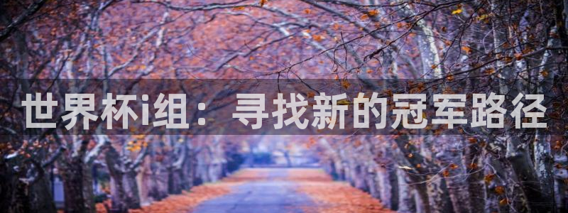 亚洲杯足球:世界杯i组:寻找新的冠军路径