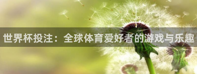 2026世亚预赛赛程表:世界杯投注:全球体育爱好者的游戏与乐趣