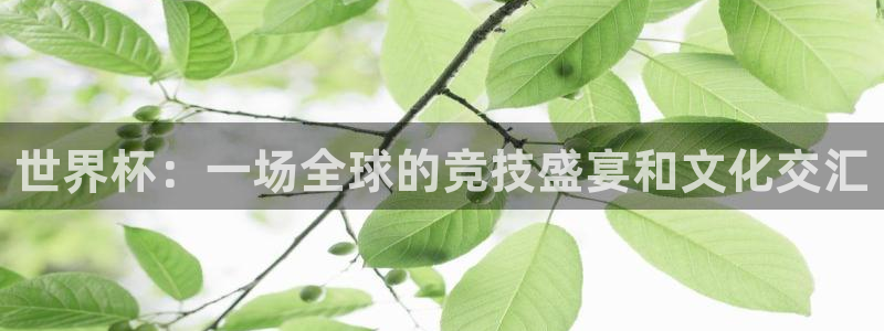 世界杯预选赛欧洲区赛程:世界杯:一场全球的竞技盛宴和文化交汇