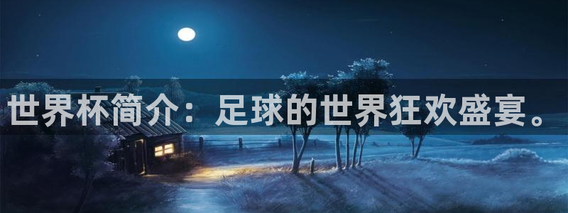 女足世界杯直播:世界杯简介:足球的世界狂欢盛宴。