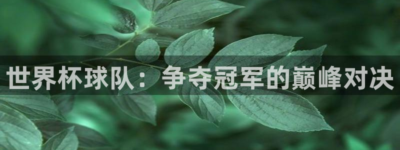 2026男足世界杯赛程:世界杯球队:争夺冠军的巅峰对决